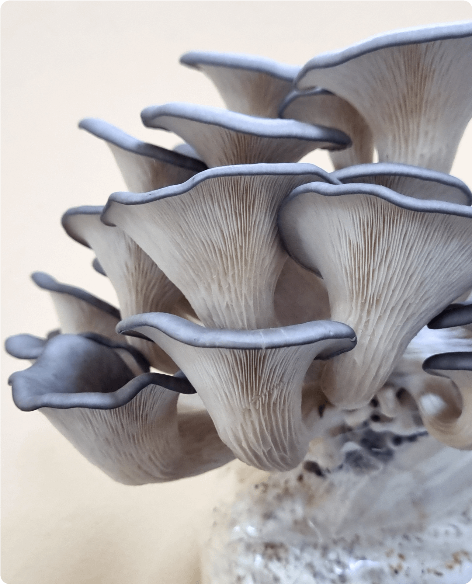 20231221 100122 4
